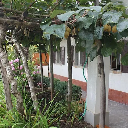 Mare Monti Apartman *